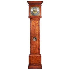 Fine 18th Century Queen Anne Burr Walnut Eight-Day Longcase Clock