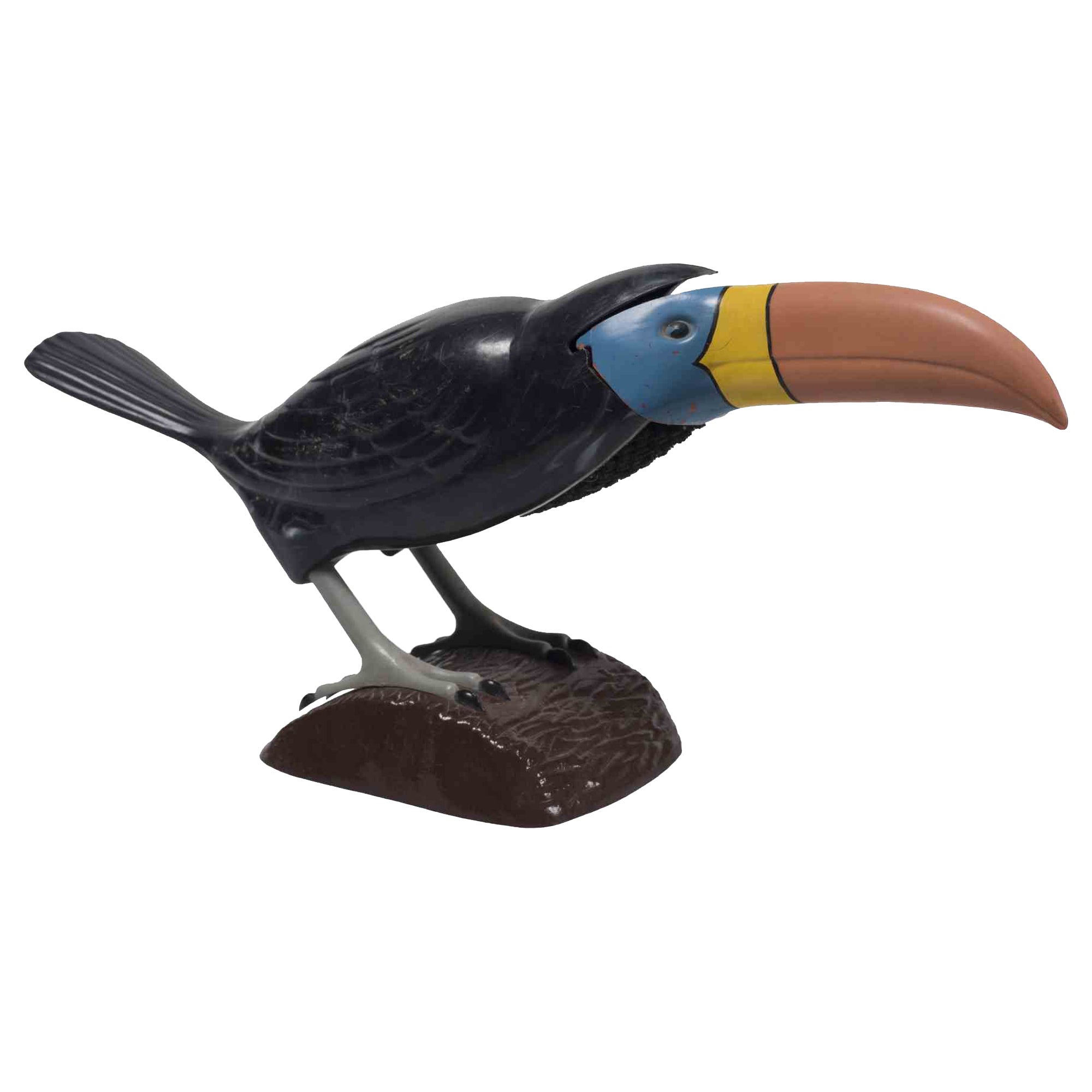 Toucan Brush, Italy, Mid-20th Century For Sale