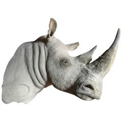 Replica d'une tête de trophée de rhinocéros blanc