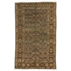 Persian Bakhtiari Area Rugs - 15445
