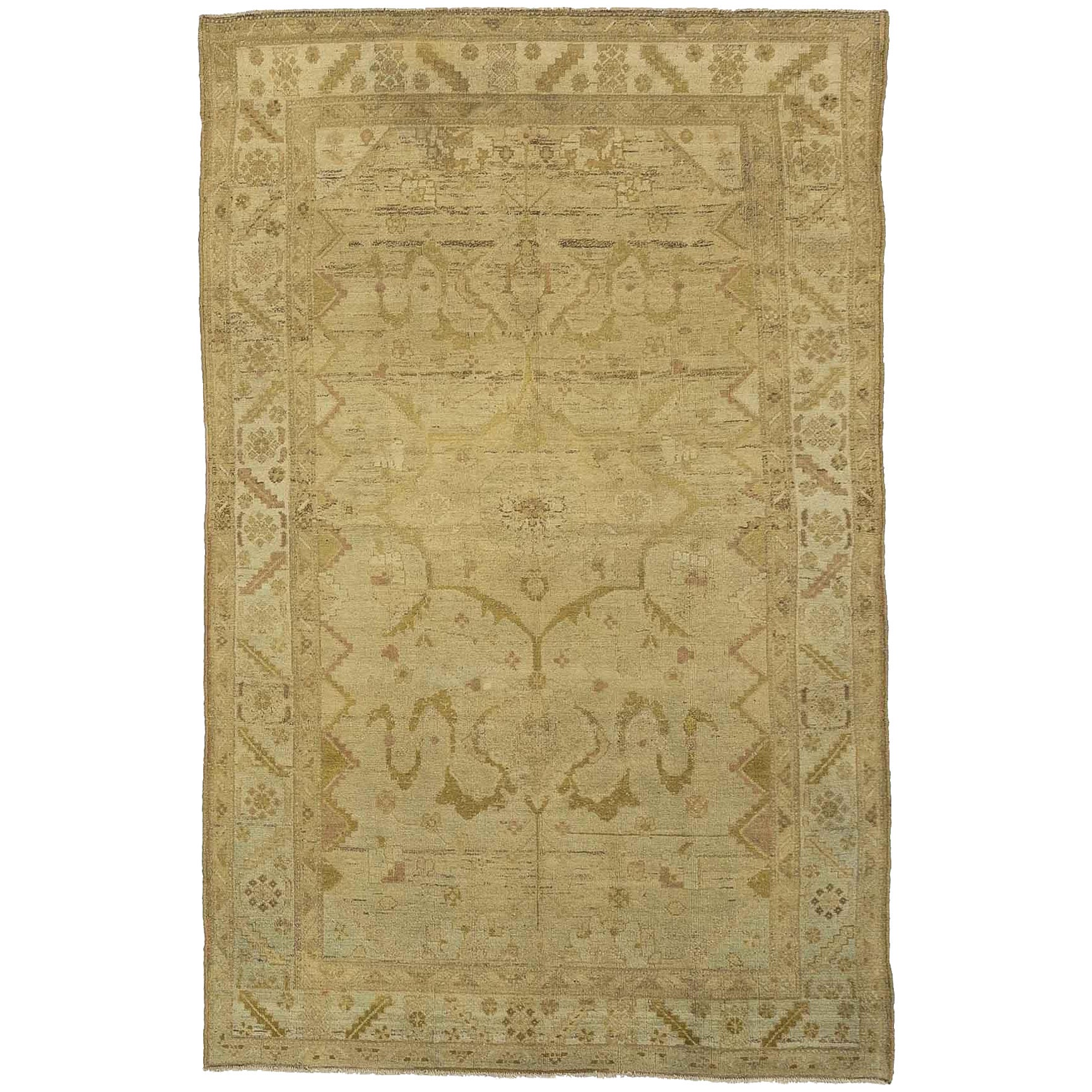 Persian Malayer Area Rugs - 16059