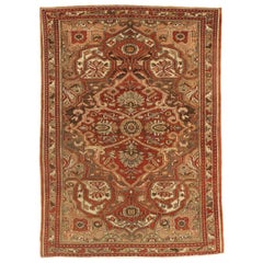 Persian Bakhtiari Area Rugs - 16064