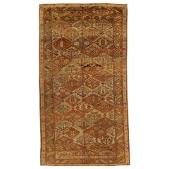 Persian Bakhtiari Area Rugs - 16353