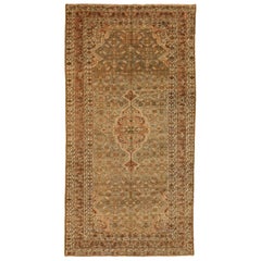 Persian Malayer Area Rugs - 51835