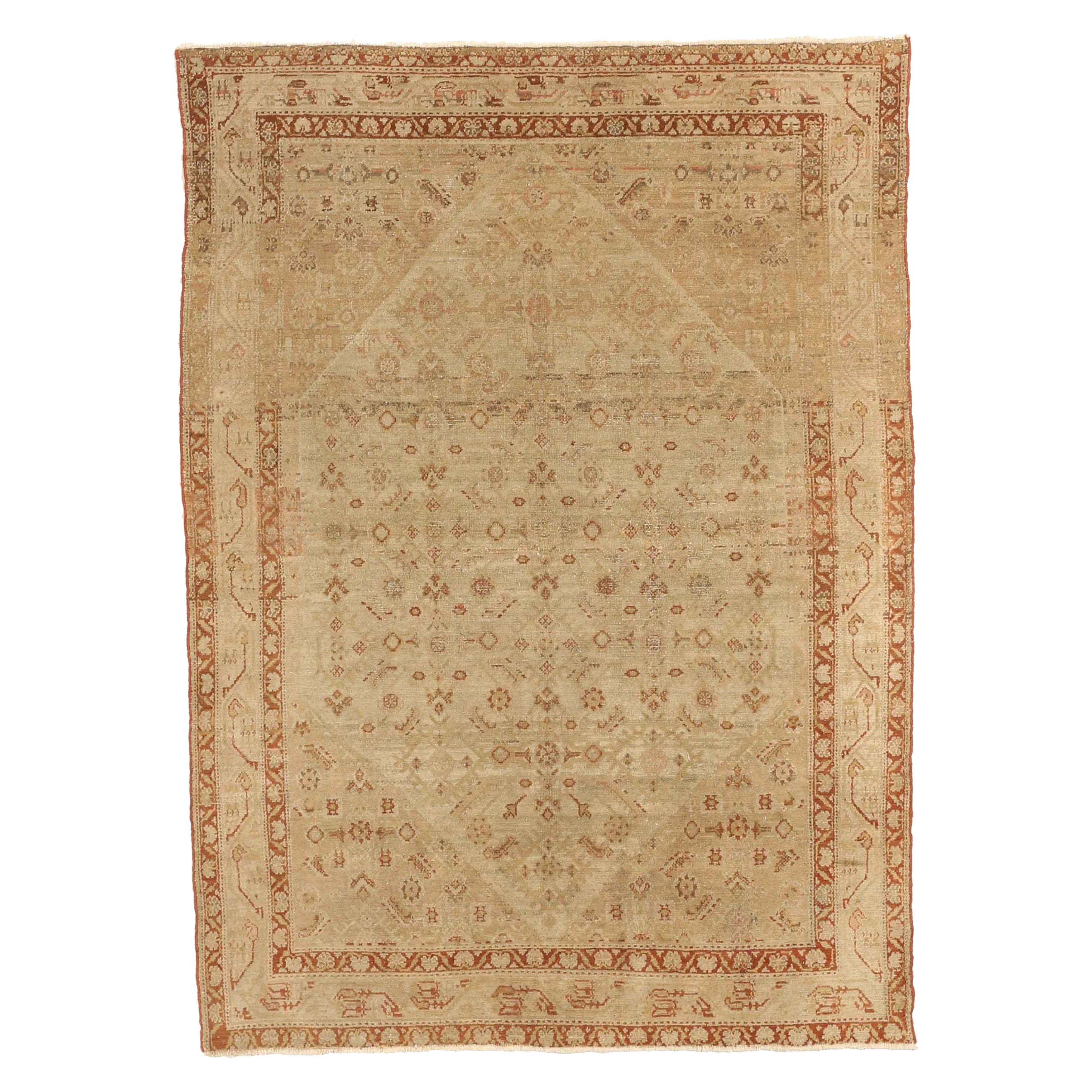 Persischer Malayer – 52168