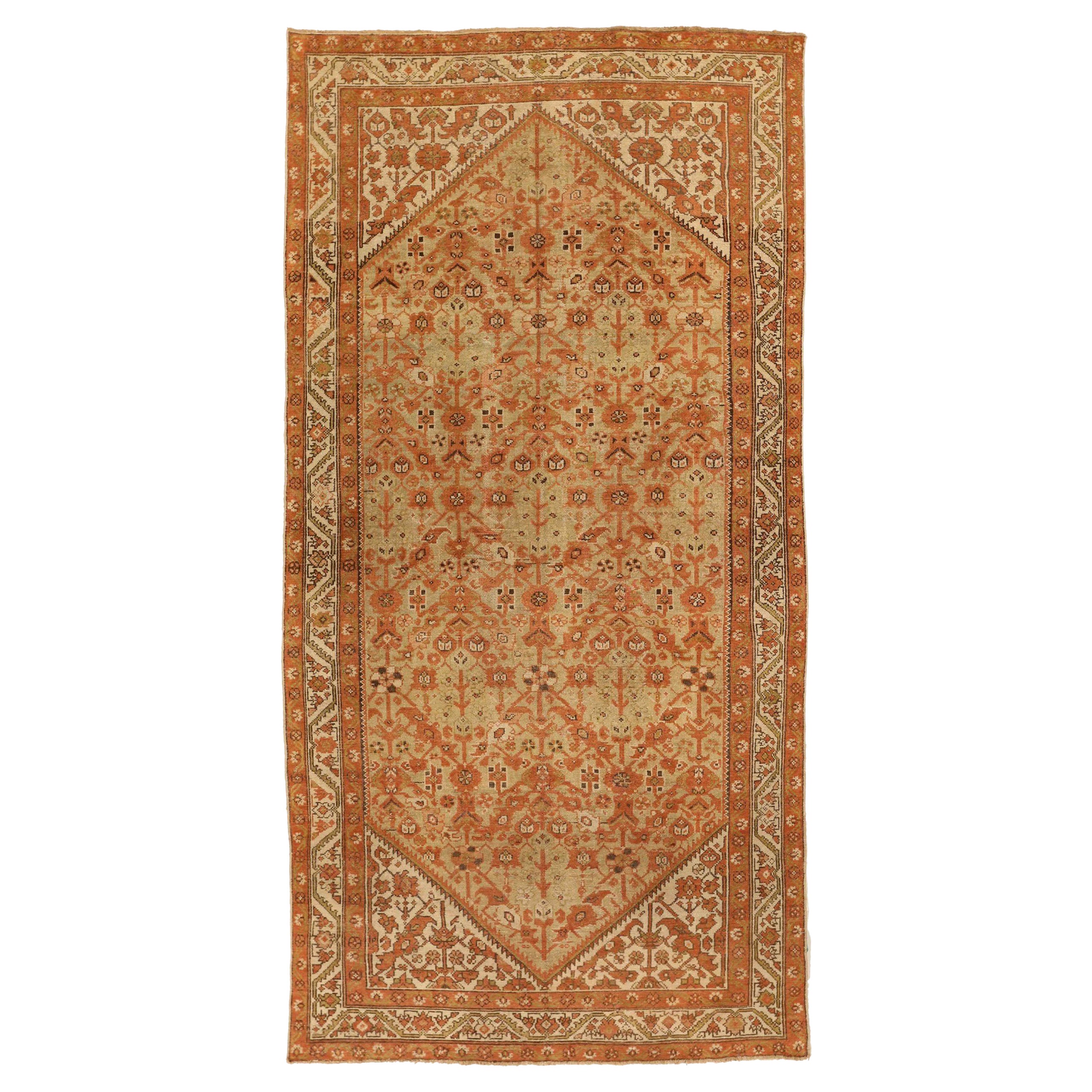 Tappeto persiano Malayer, circa 1880 - 53941