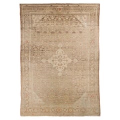 Tappeti persiani Malayer - 65798