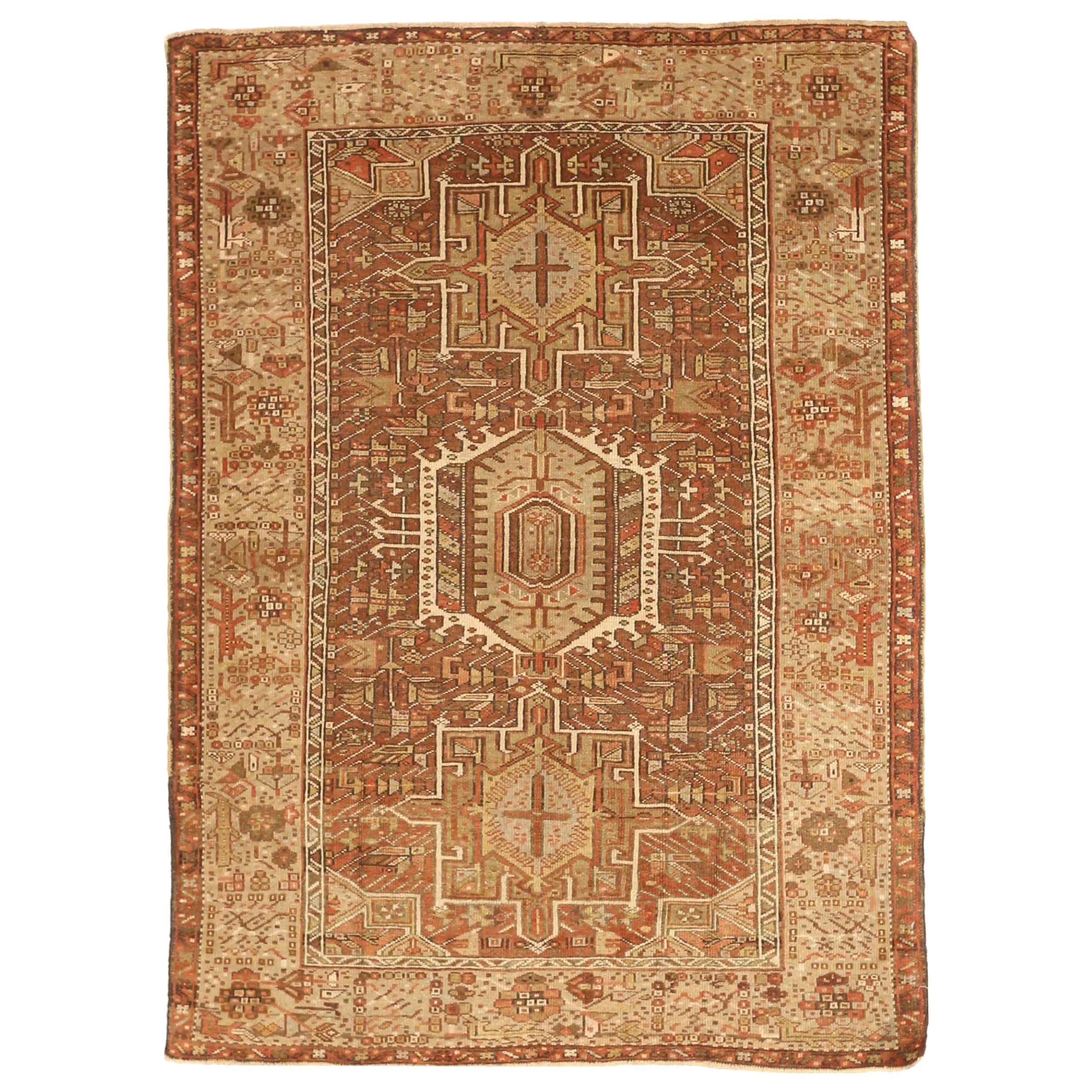 Persian Vis - 67152 For Sale