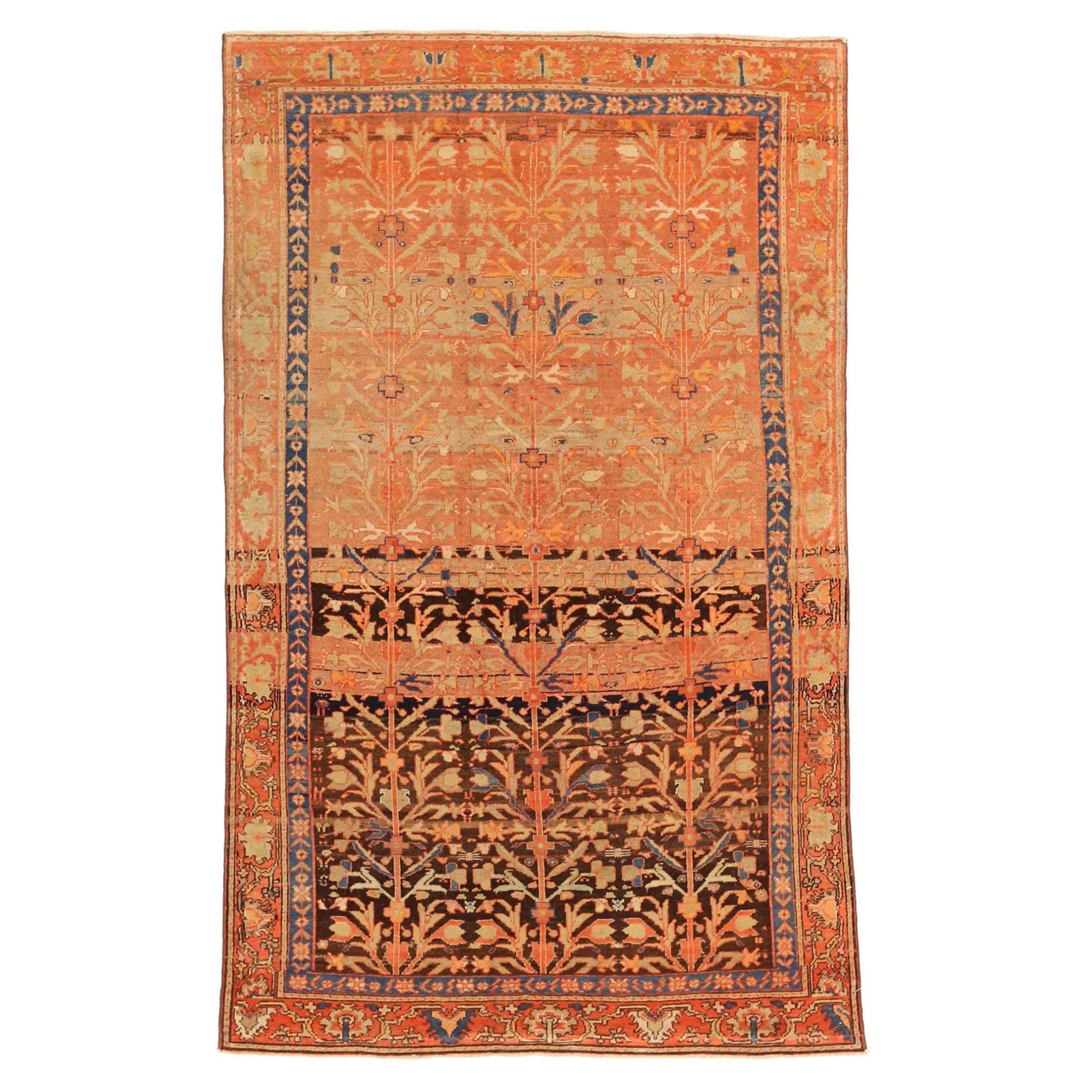 Persian Malayer Area Rugs - 67194