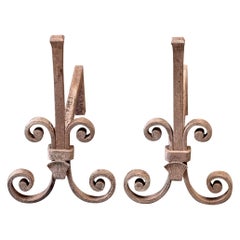 Andirons ou brûleurs de style Louis XV du 20e siècle