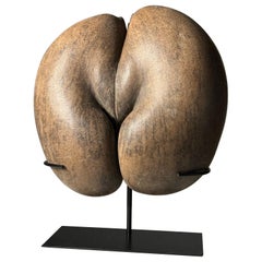 Coco de Mer