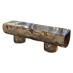 Banc Tronco de NITUSH AROOSH