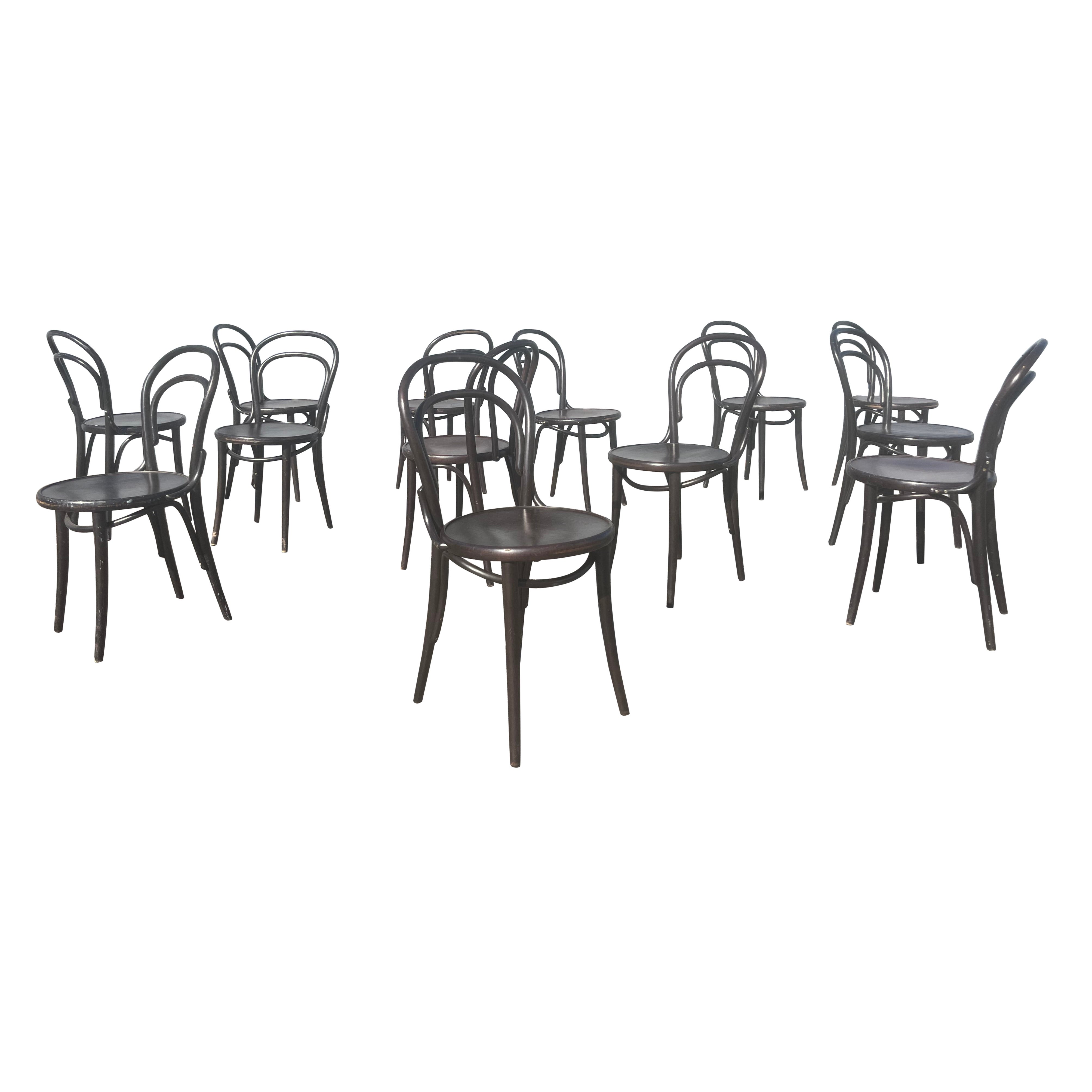Set of Six Era Chairs by Ton, Bentwood Chairs, Thonet Style
