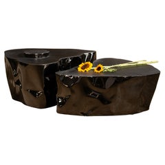 Grand Canyon Coffee Table by NITUSH AROOSH