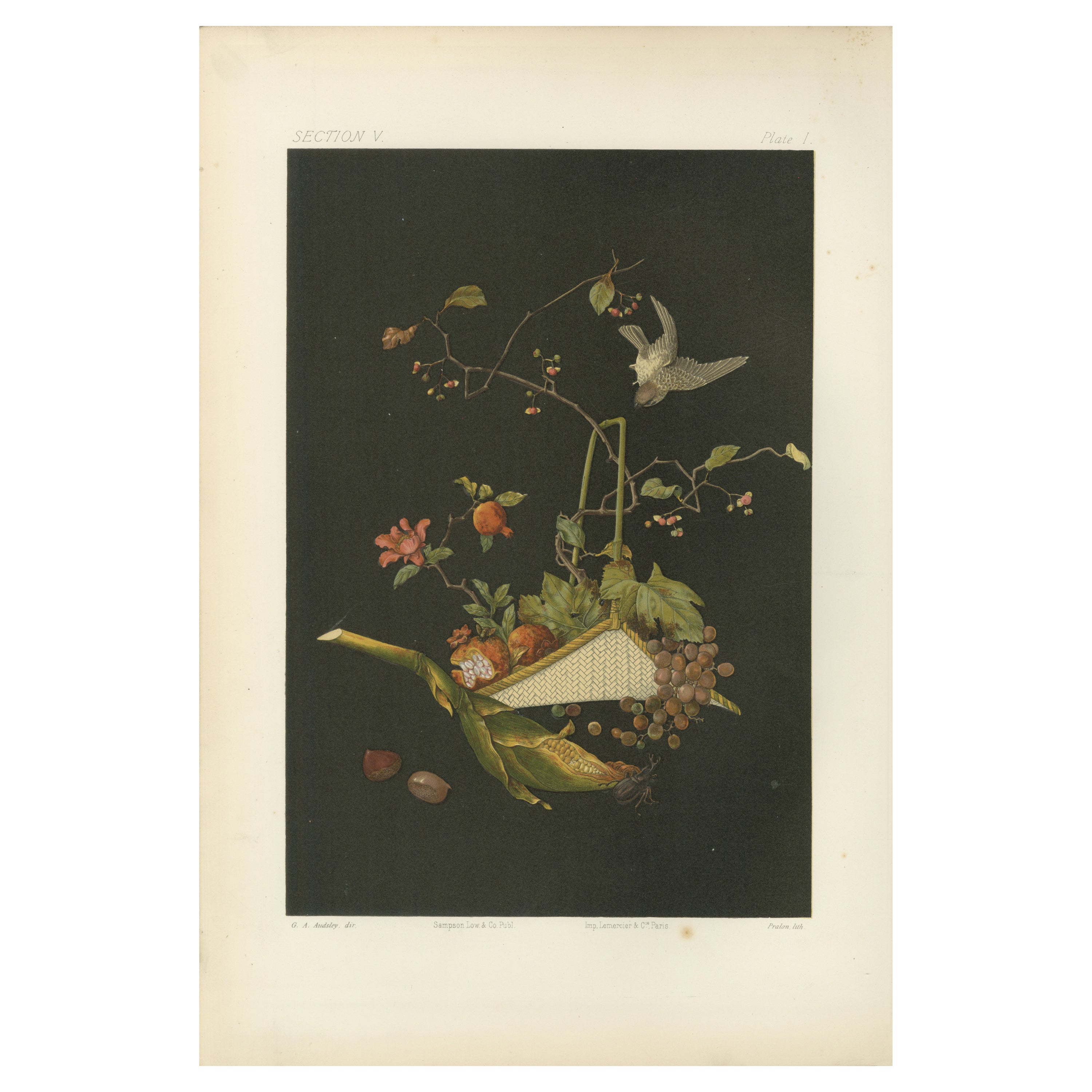 Vivid handkolorierte Lithographie aus Audsleys The Ornamental Arts of Japan, 1884