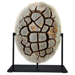 Septarian Nodule on custom stand