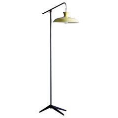 French Floor Lamp with steel tripod base