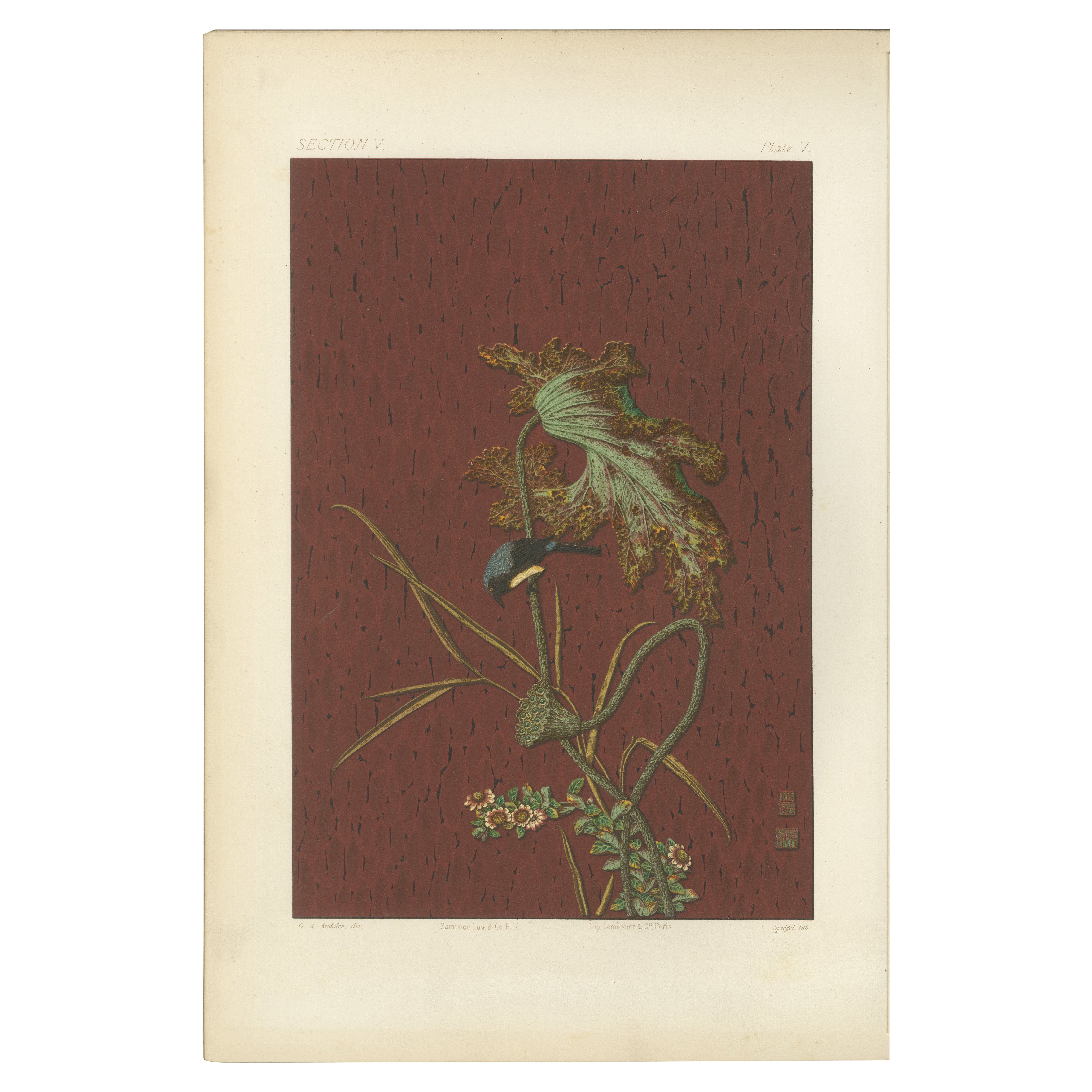 The Harmony of Nature - eine seltene japanisch inspirierte Chromolithographie, 1884