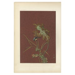 Antique The Harmony of Nature – A Rare Japanese-Inspired Chromolithograph, 1884