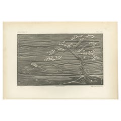Tranquility in Monochrome – Japanese-Inspired Chromolithograph by Audsley, 1884