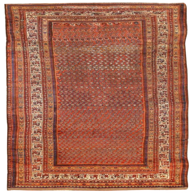 Persian Shiraz Area Rugs - 16463 For Sale