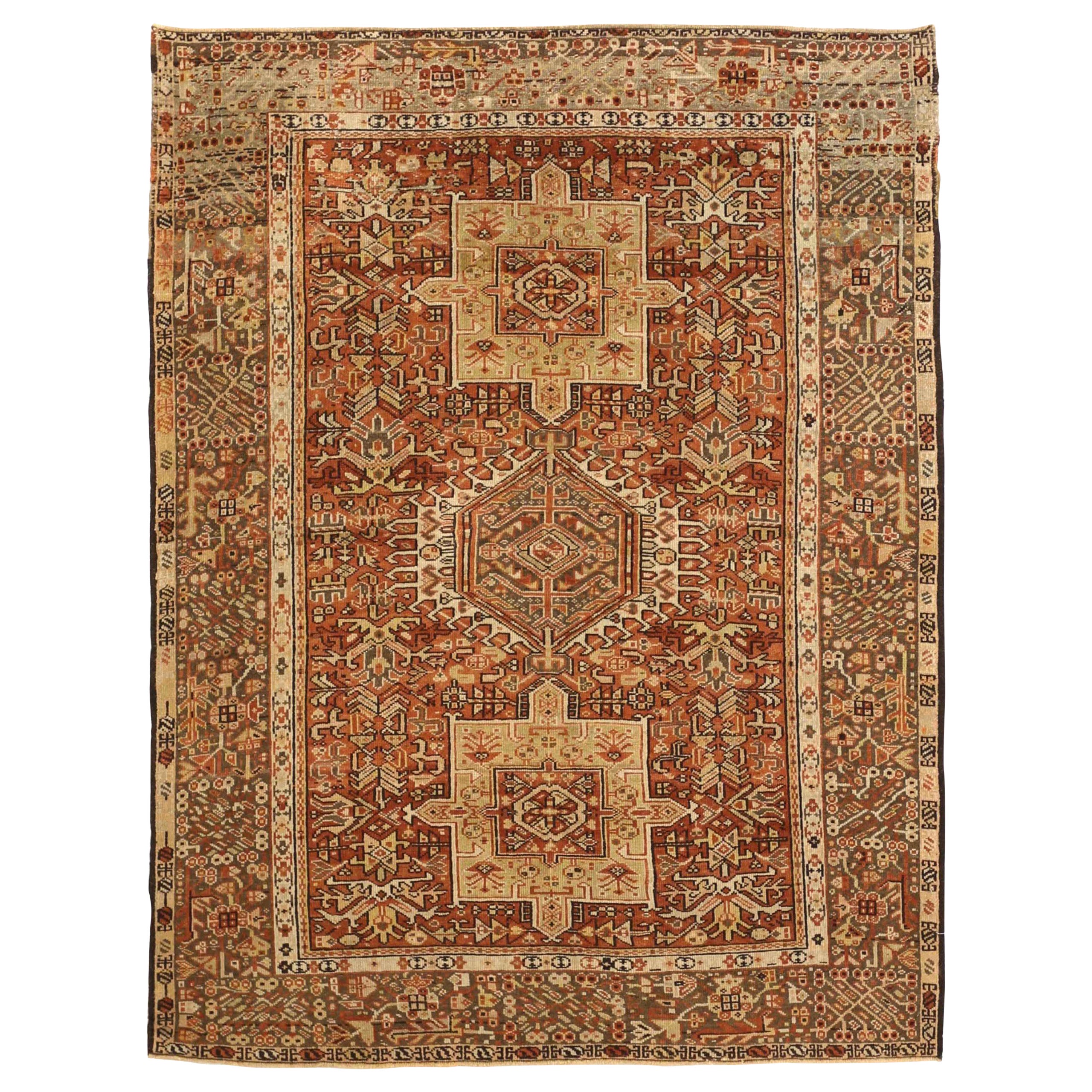 Gharajeh persiano - 67918