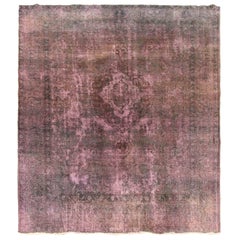 Overdye persan - 69999