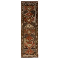 Persian Malayer - 70296