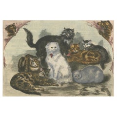 Cats victorien : gravure sur bois colorée à la main du Manchester Cat Show, vers 1890