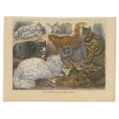 Gatos victorianos en exposición: xilografía de la exposición de gatos del palacio Albert, ca.1890