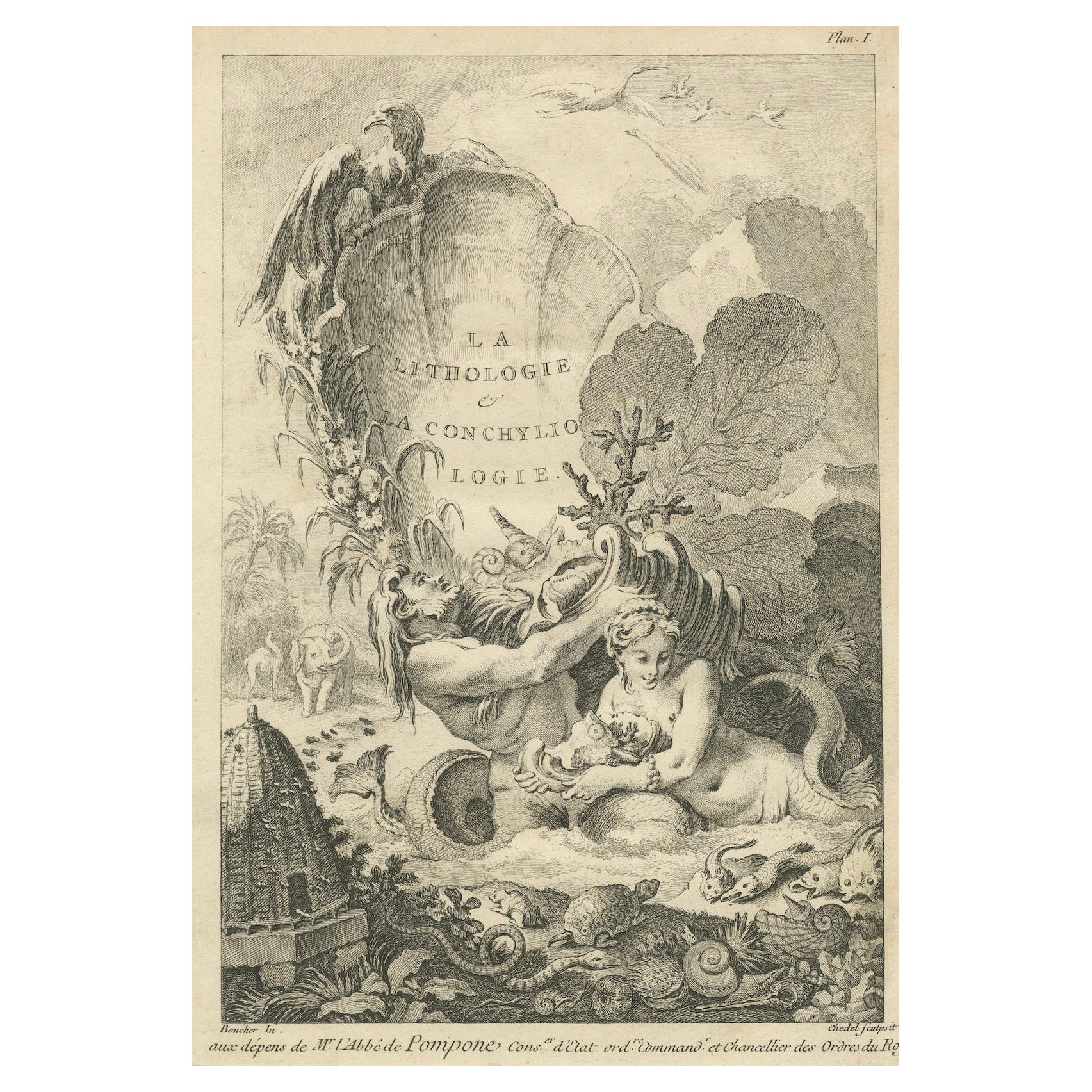 Allegorischer Druck der Lithologie und Conchologie von Boucher Fils, 18. Jahrhundert