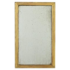 French 19th Century Louis XVI Style Gilt Mirror