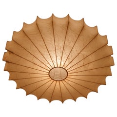 Rare shape cocoon chandelier