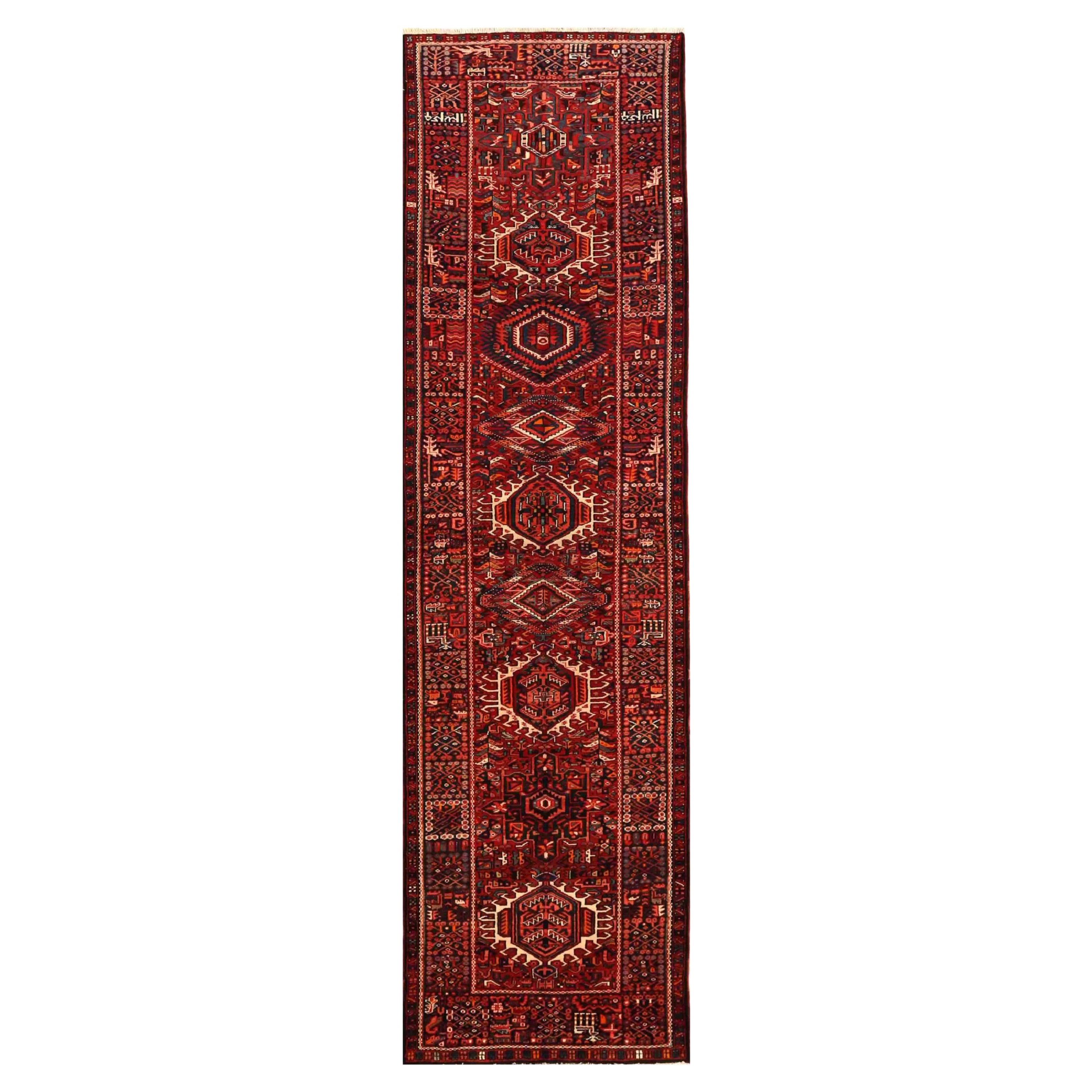 Gharajeh persiano - 70191