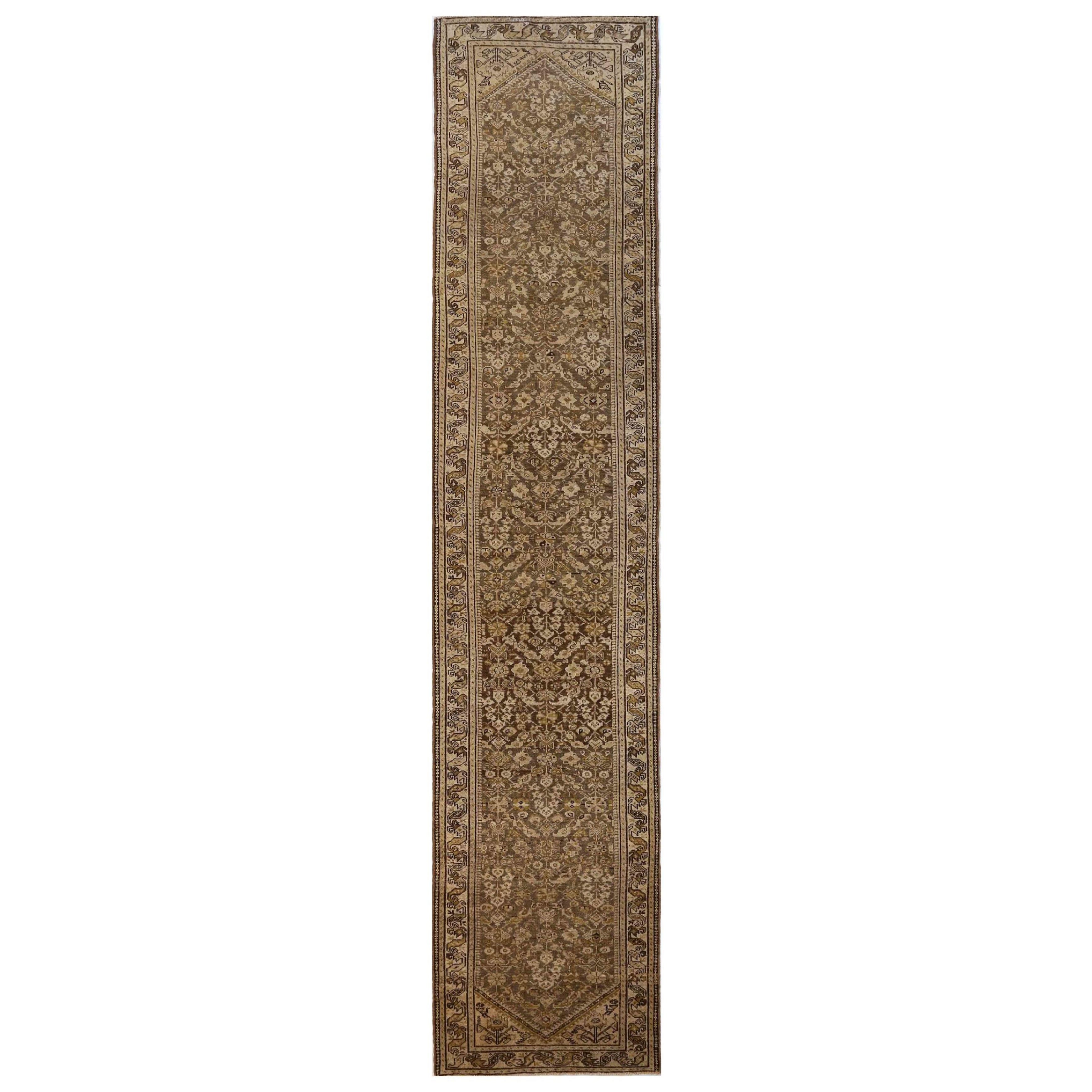 Persischer Malayer - 70292