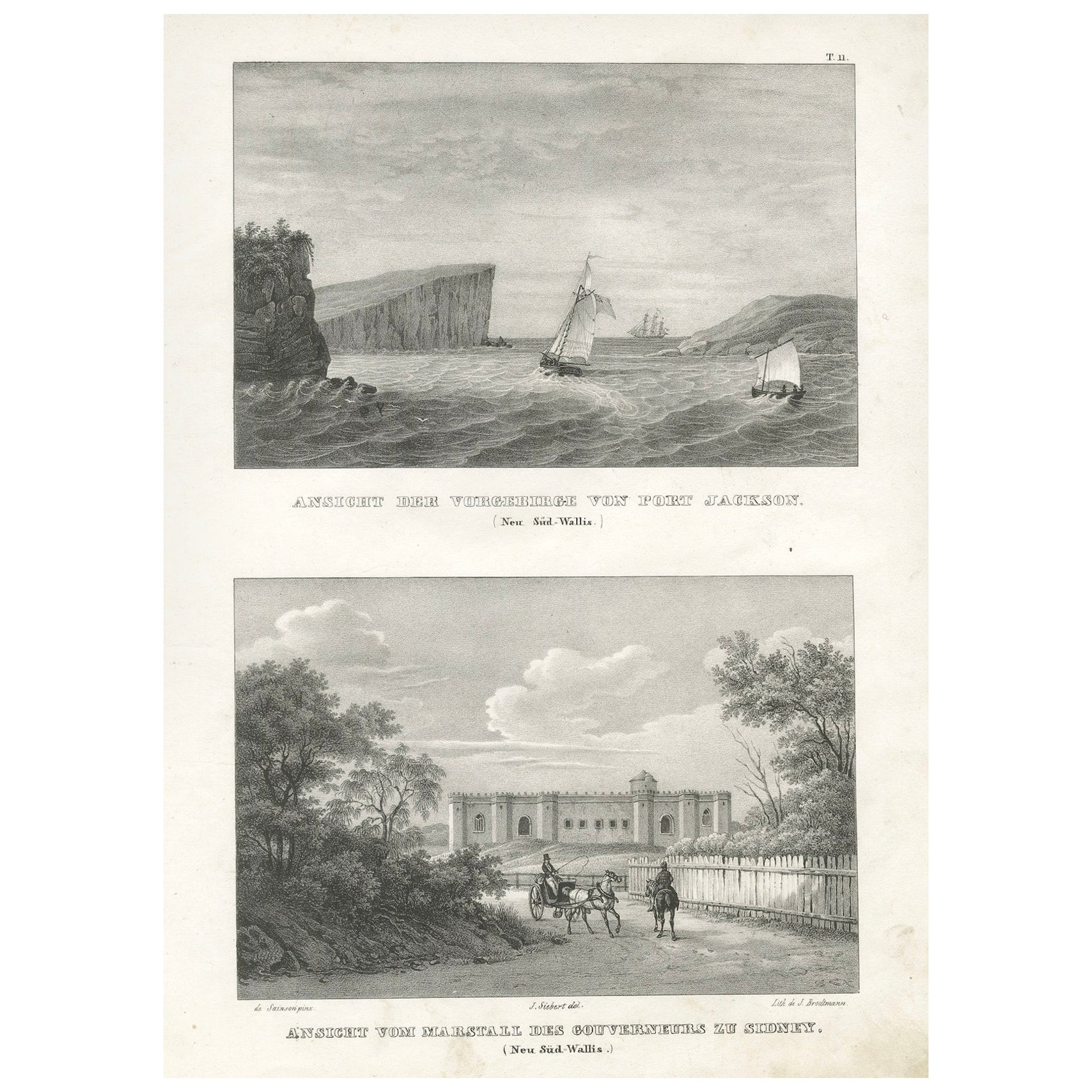 Coastal Cliffs of Port Jackson and Governor's Stables in Sydney, New South Wales For Sale