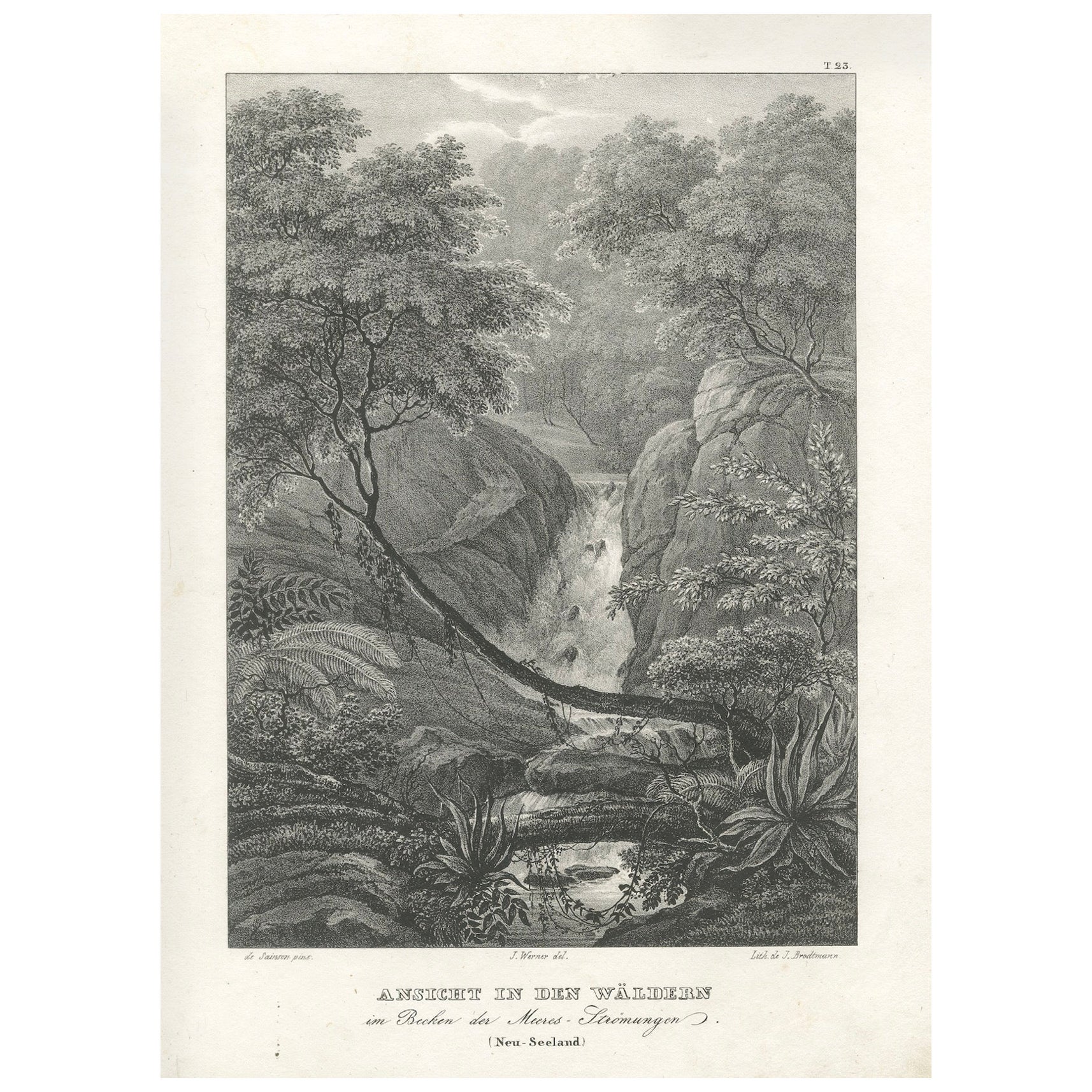 Serena vista del bosque en la cuenca de Moa, Nueva Zelanda, litografía publicada en 1836