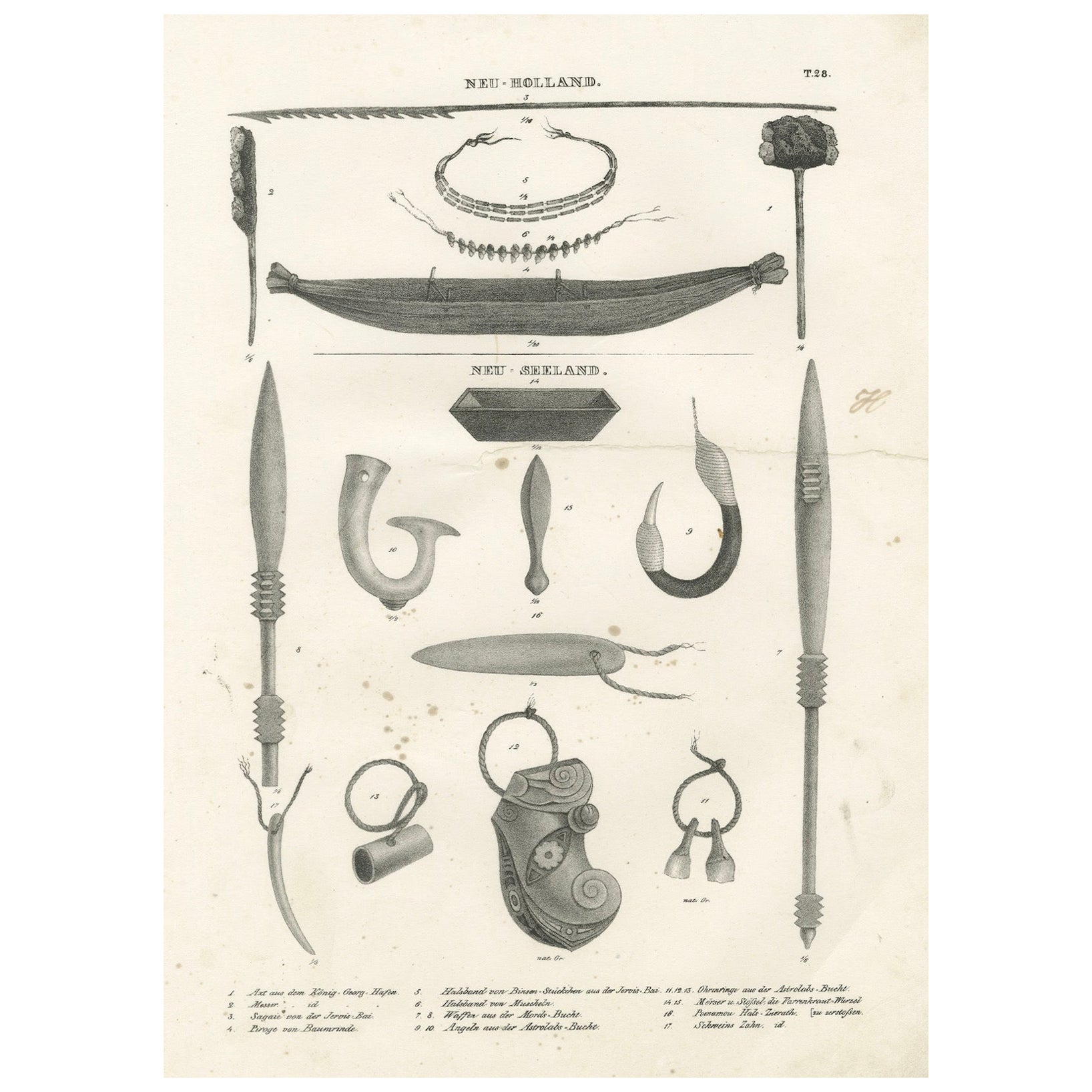 Artefactos de Nueva Holanda y Nueva Zelanda: Herramientas, Ornamentos, Artículos Culturales, 1836