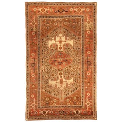 Persian Bijar Small Rug - Wool Ivory Red Taupe 70629