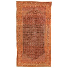 Alfombras Persas Malayer - Lana Verde Azul Marino Rojo 72825