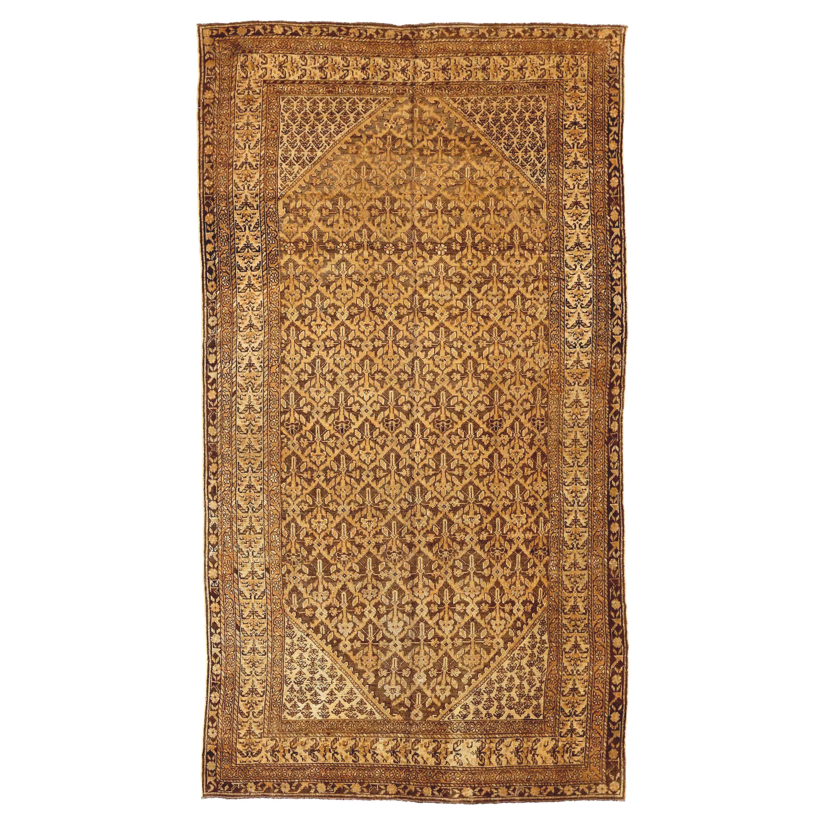 Persian Bakhtiari Area Rugs - Wool Brown Ivory 73462 For Sale