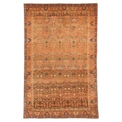 Persian Malayer Small Rug - Wool Brown Ivory Pink 73928