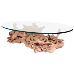 Drift and Burl Wood Coffee Table