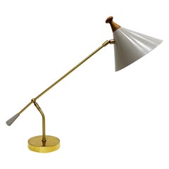 Vintage Restored Italian Mid-century Desk Lamp, Stilnovo Attributed
