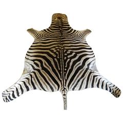 Grade A Equus Burchell Zebra Skin Rug