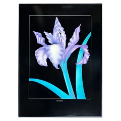 Cuadro Ilustración "Iris Versicolor" de los años 80 enmarcado en negro