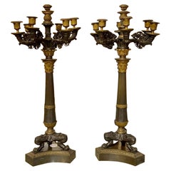 Pareja de candelabros de estilo Imperio francés del siglo XIX con 7 luces