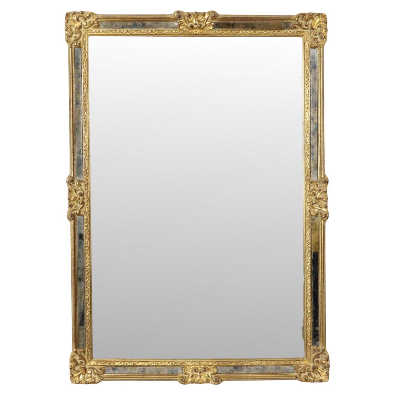 Classic Golden Deknudt Mirror Baroque Style Fumé Glass 95cm