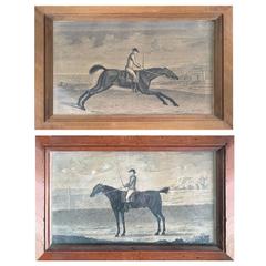 Pair of 18th Century Engravings Representing Horses