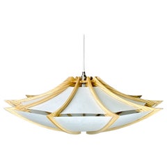 Platillo Luz 25", Madera de Fresno